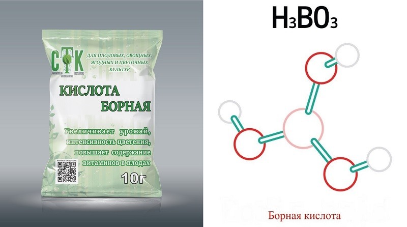 Рост растений
