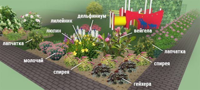Клумба с солнечной стороны